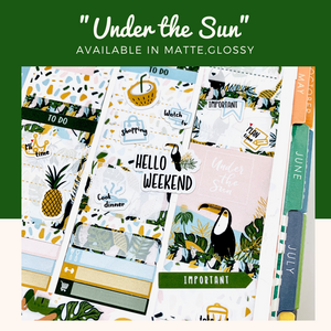 Weekly Kit | Erin Condren | Summer | Planner Stickers | WK49