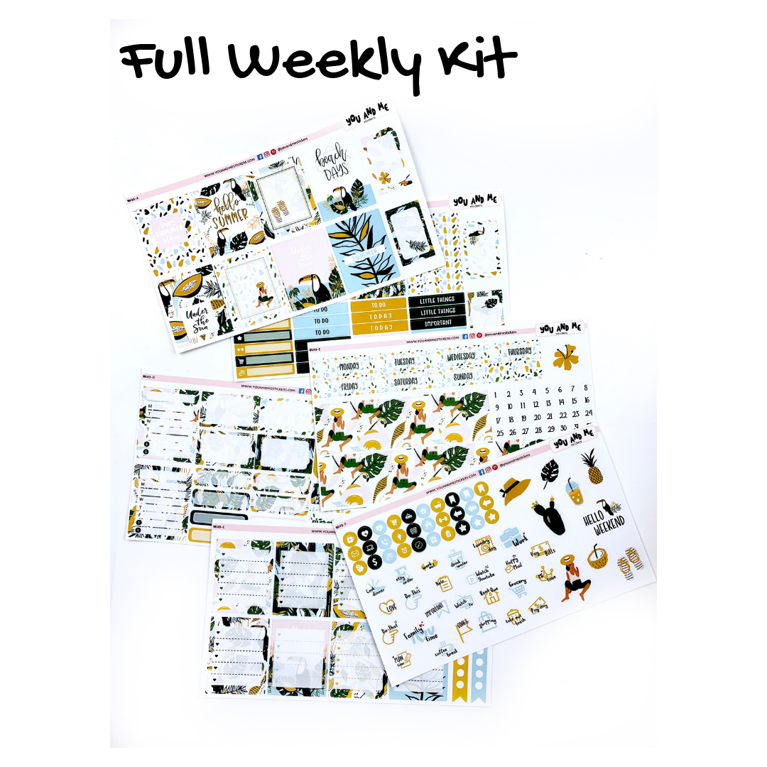 Weekly Kit | Erin Condren | Summer | Planner Stickers | WK49