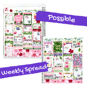 Weekly Kit | Summer Sticker | Planner Sticker | Erin Condren | WK41