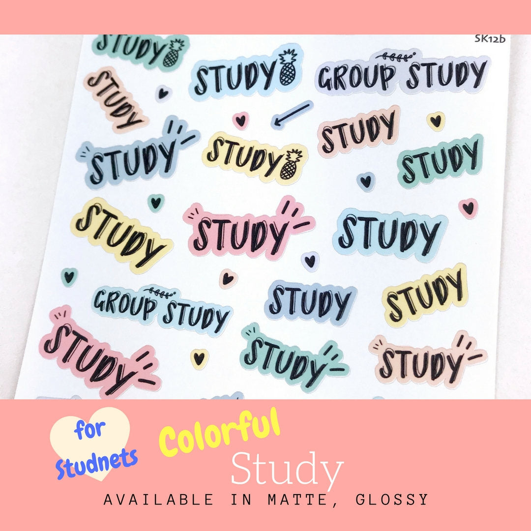 Student Stickers | Erin Condren | Happy Planner | Bullet Journal | SK12b