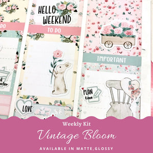 Weekly Kit | Spring Sticker | Pastel Sticker | Erin Condren | Happy Planner | WK33