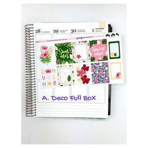 Weekly Kit | Summer Sticker | Planner Sticker | Erin Condren | WK41