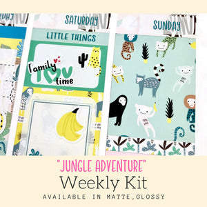 Weekly Kit | Summer Sticker | Erin Condren | WK39